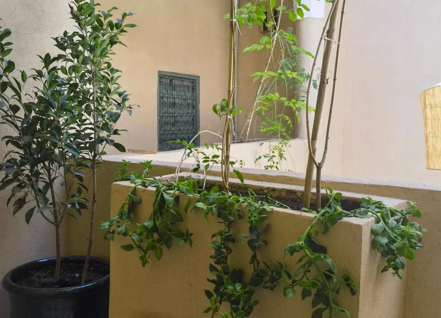 Medina Oasis Hostel Marrakesh